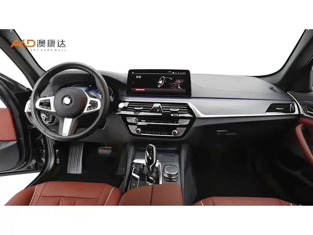 BMW 5 Series 2021