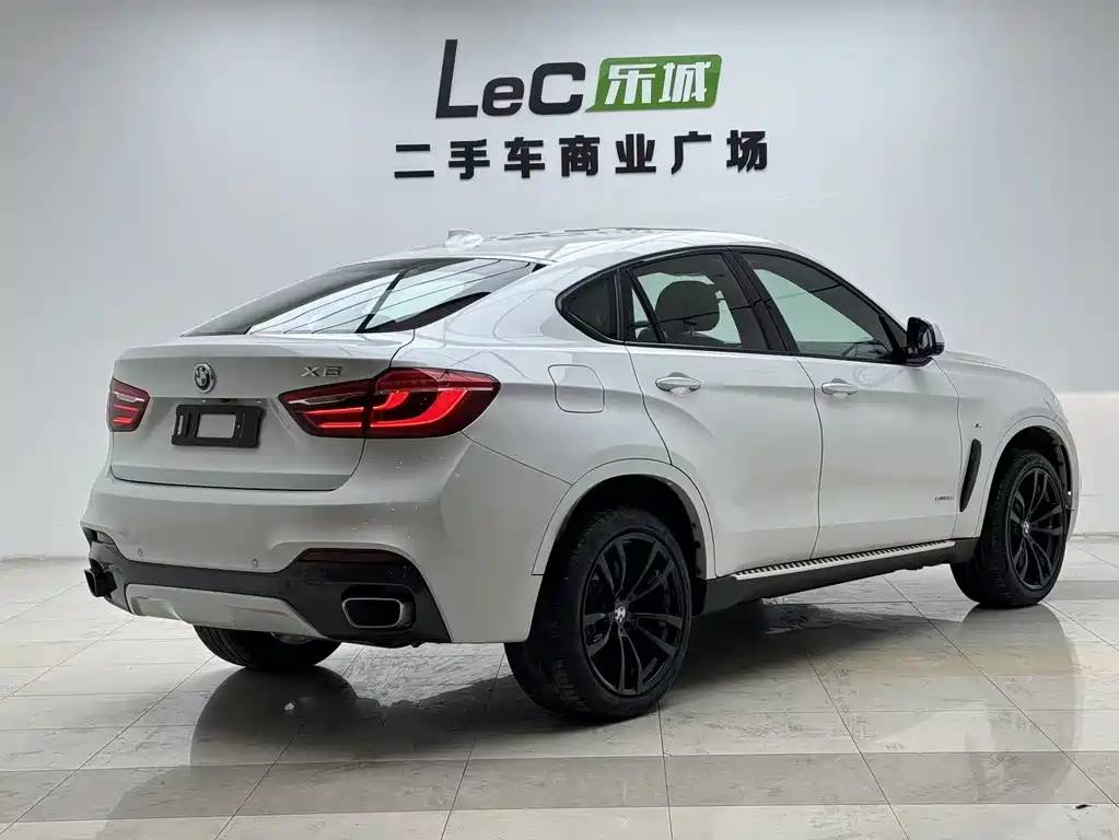 BMW X6 2019 — фото 16