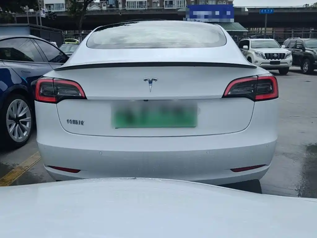 Tesla Model 3 2021