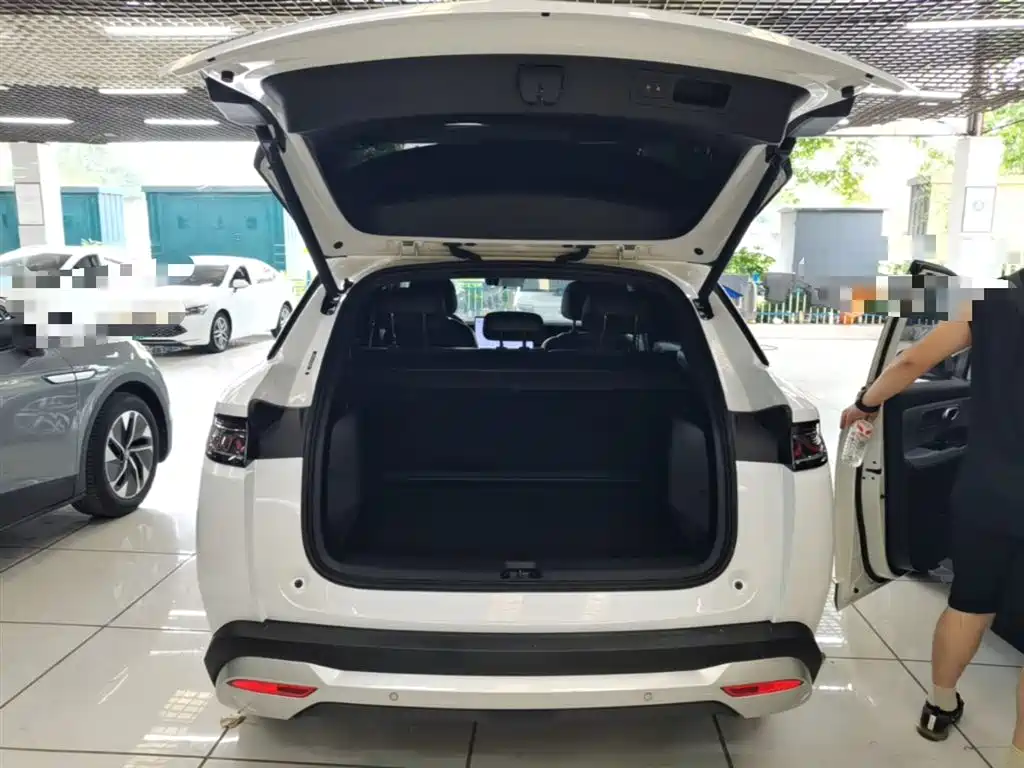 BYD L DM-i 2025 — фото 19