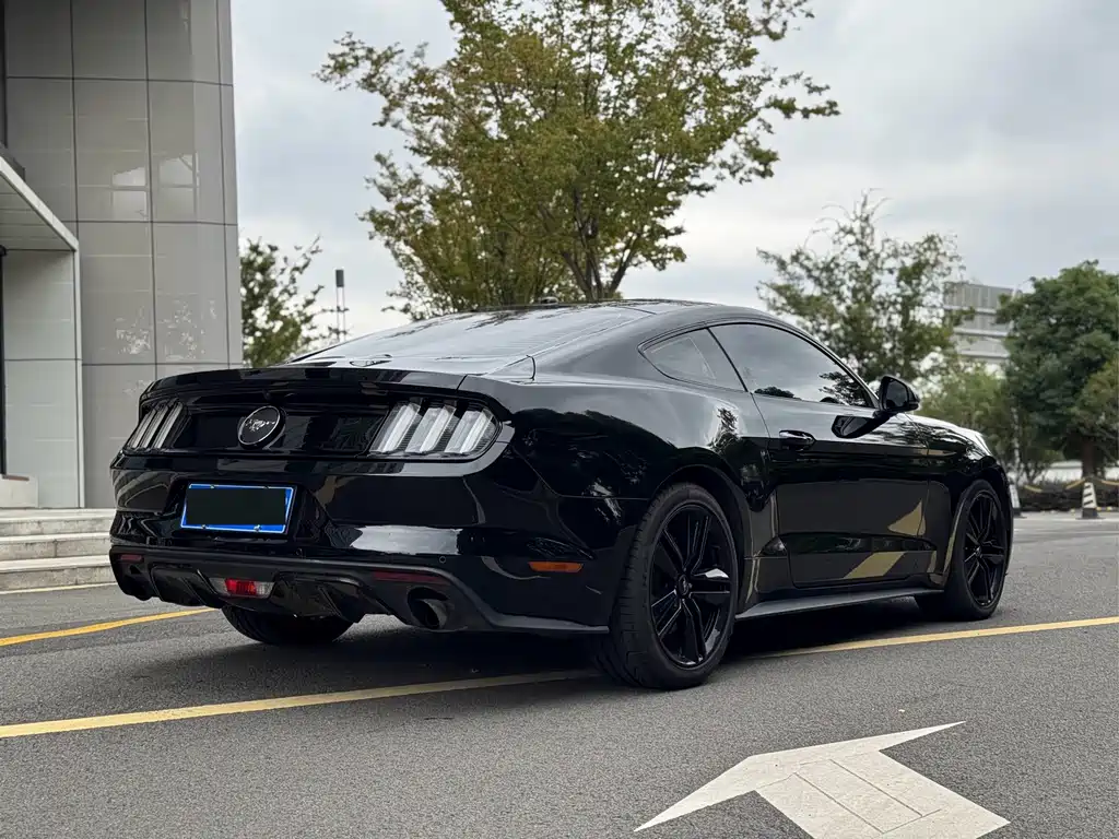 Ford Mustang 2017 — фото 9
