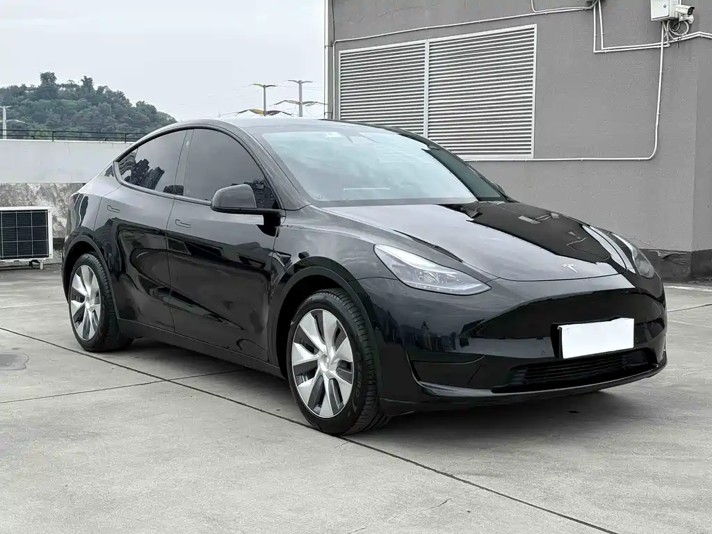 Tesla Model Y 2023 — фото 3