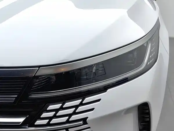 BYD Destroyer 05 2024