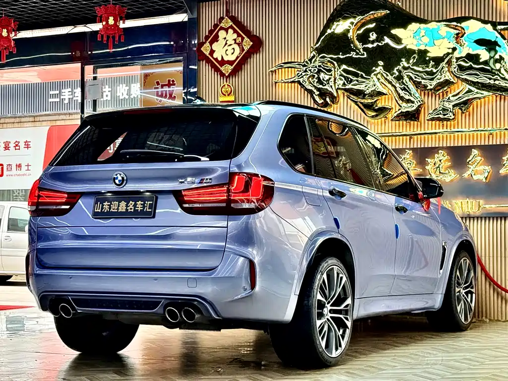 BMW X5 M 2016 — фото 17