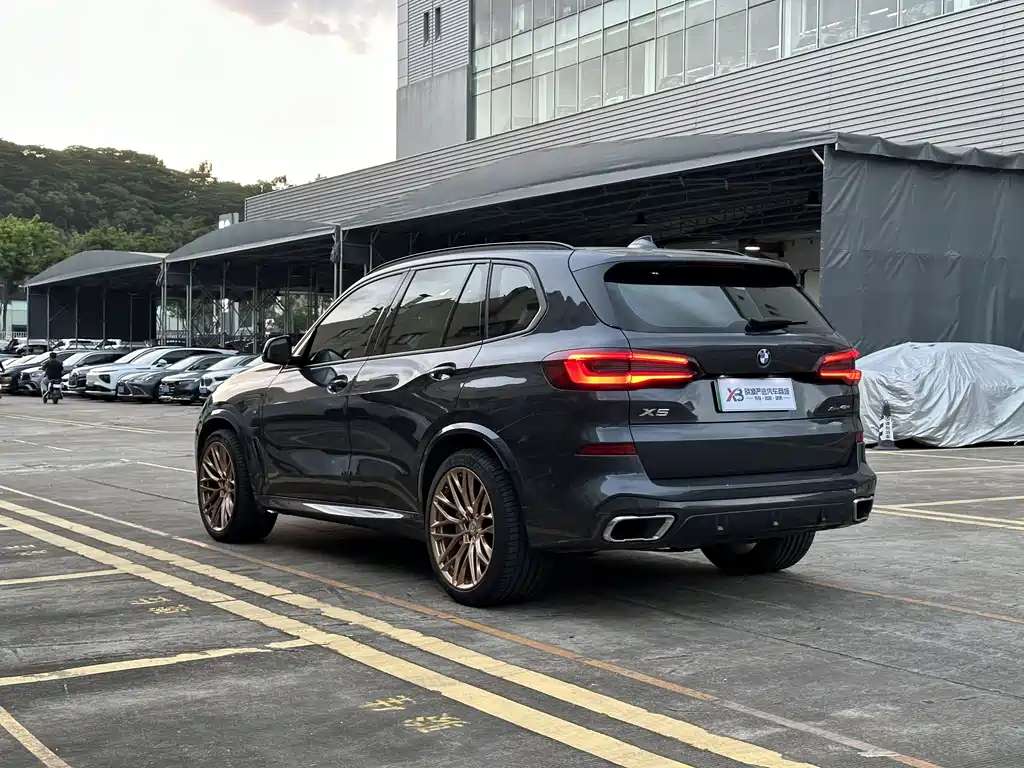 BMW X5 New Energy 2021
