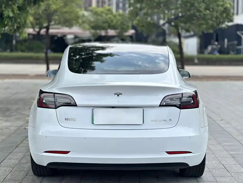 Tesla Model 3 2020 — фото 8