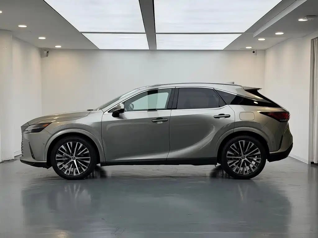 Lexus RX New Energy 2023 — фото 9