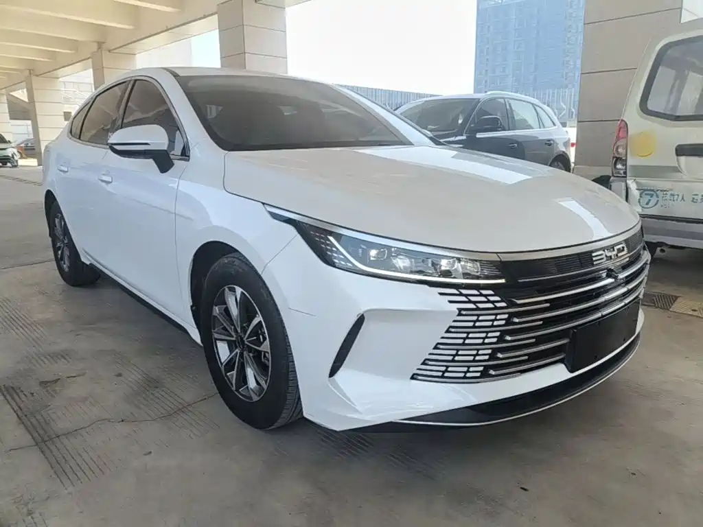 BYD Destroyer 05 2024 — фото 22