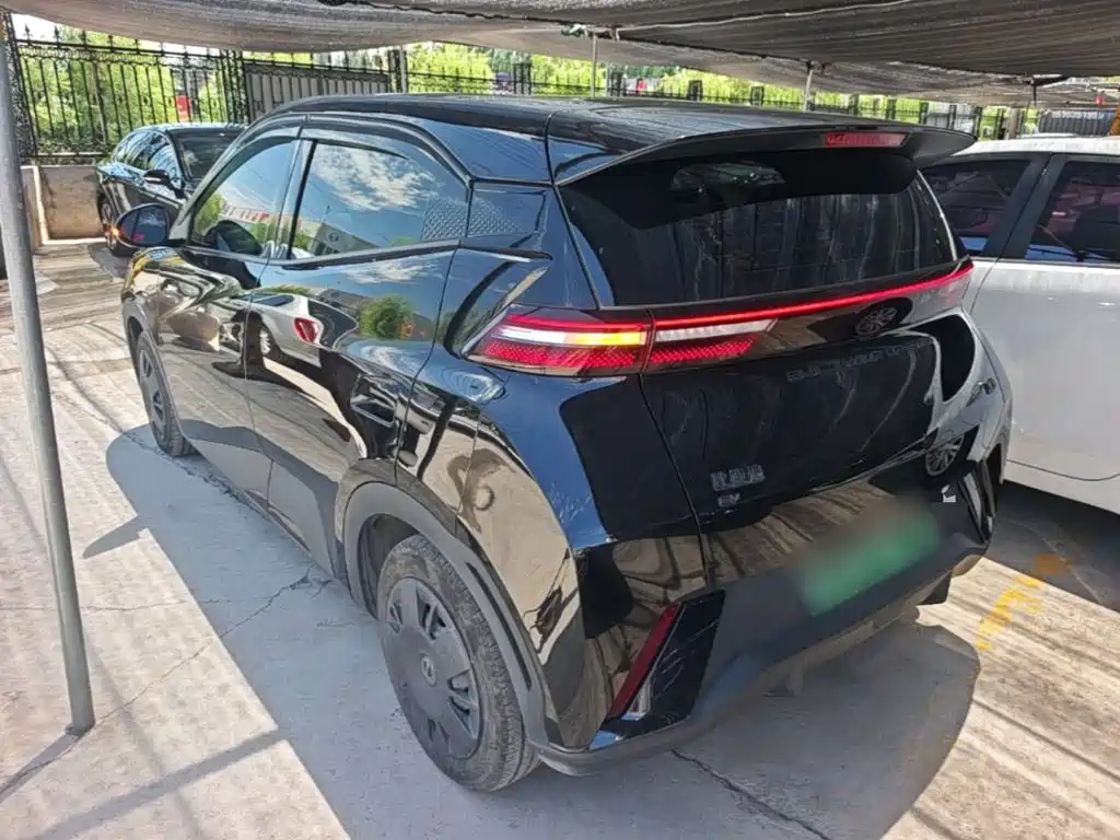 BYD Seagull 2024
