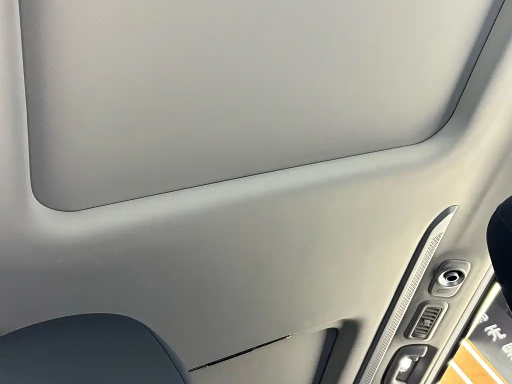 GAC Trumpchi M8 2024 — фото 19