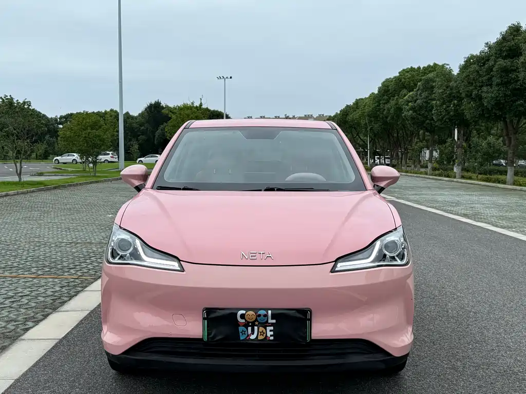Neta V 2021