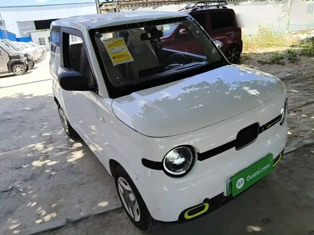 Galaxy Panda 2025