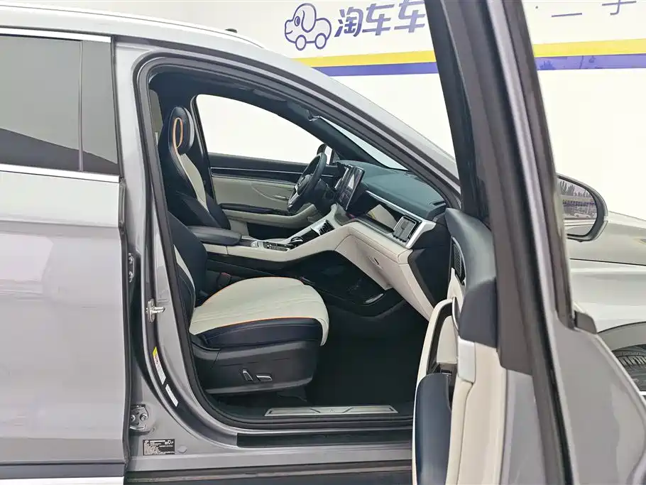 BYD PLUS New Energy 2023 — фото 8