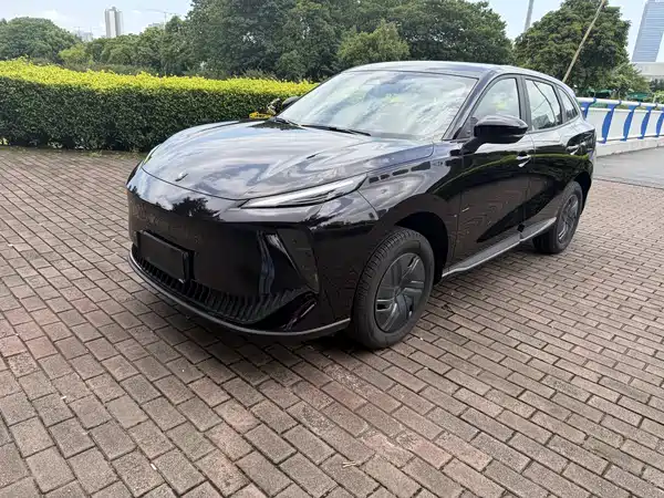 Dongfeng Xinghai X5 2025