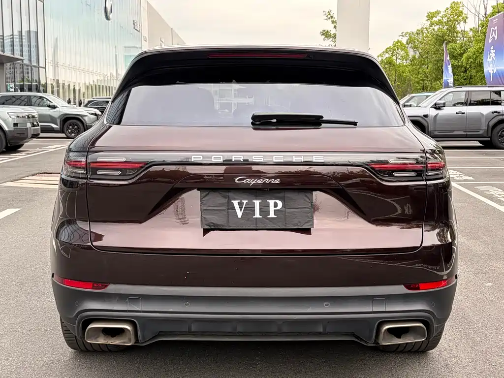 Porsche Cayenne 2019 — фото 19