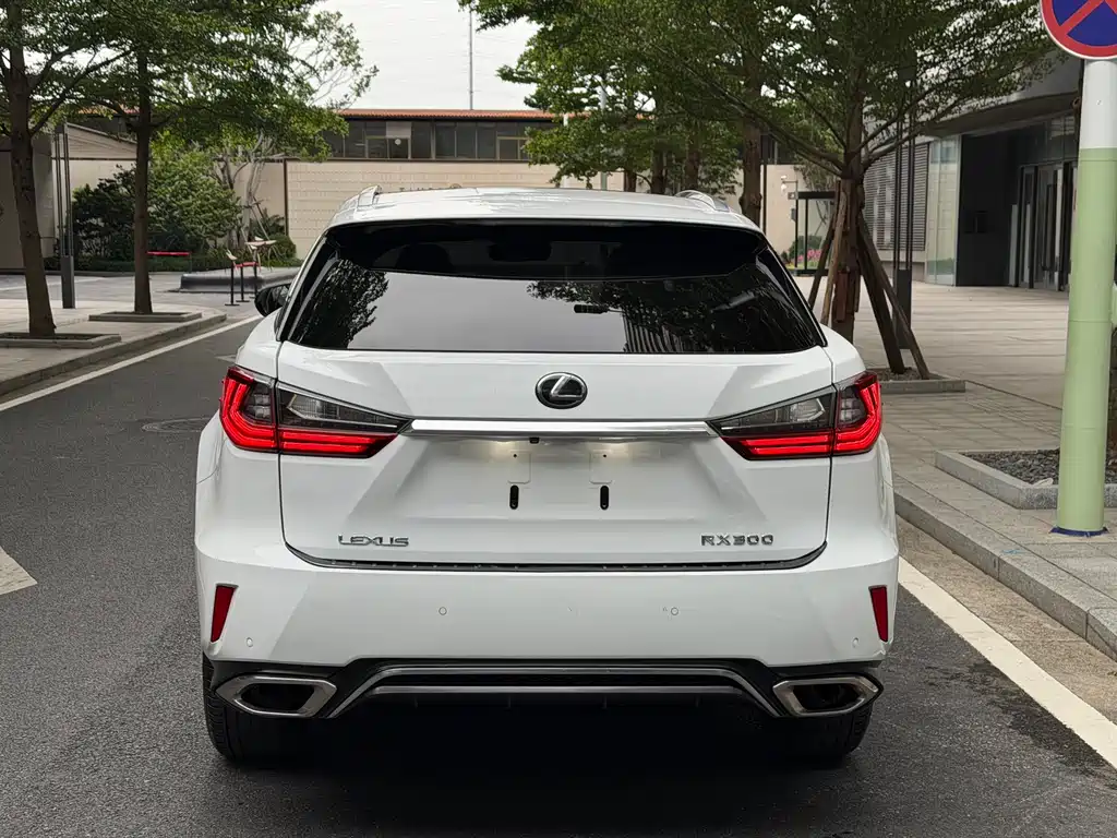 Lexus RX 2017 — фото 18