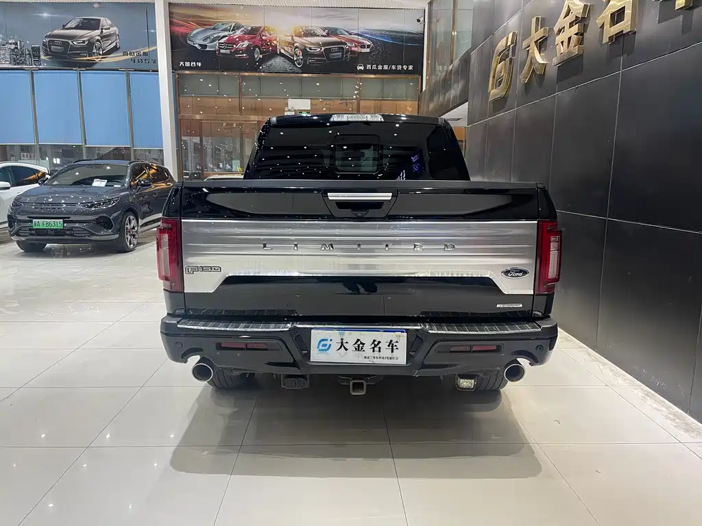 Ford F-150 Raptor 2019 — фото 14