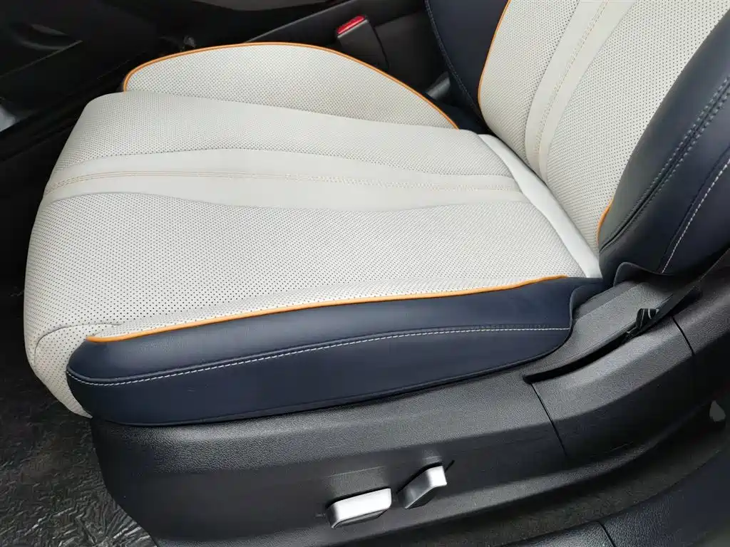 BYD PLUS New Energy 2023 — фото 20
