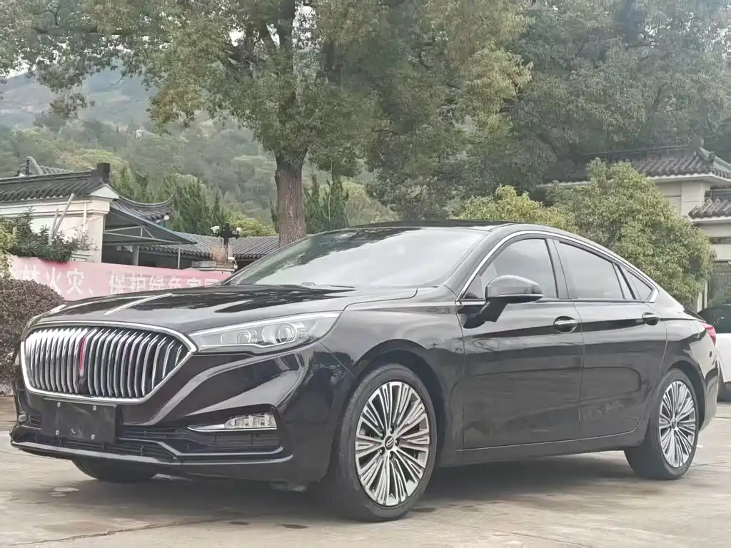 Hongqi H5 2020