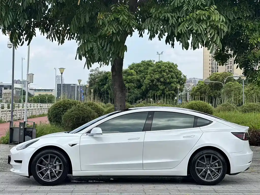 Tesla Model 3 2020 — фото 14