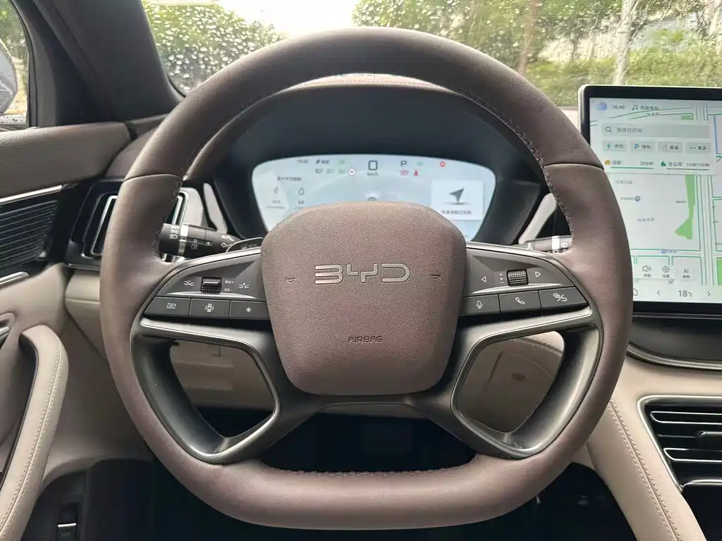 BYD PLUS New Energy 2025 — фото 19