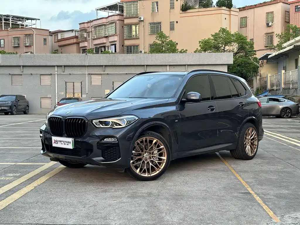 BMW X5 New Energy 2021