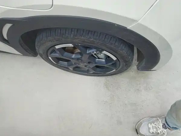 BYD Seagull 2024