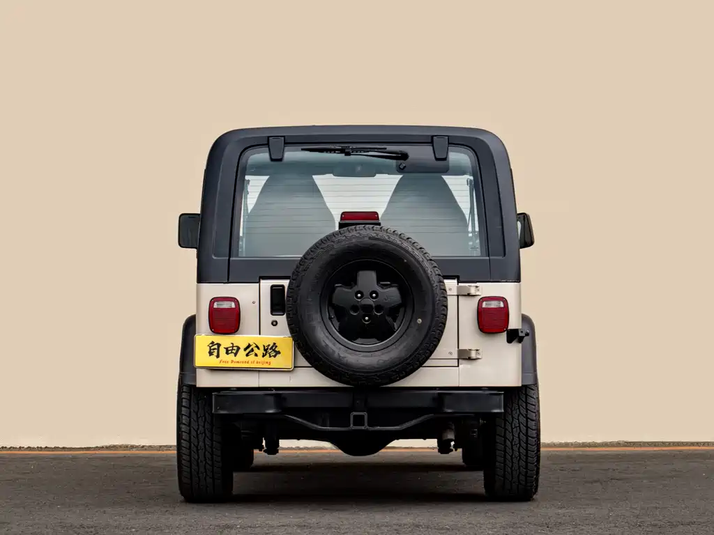 Jeep Wrangler 1995 — фото 11