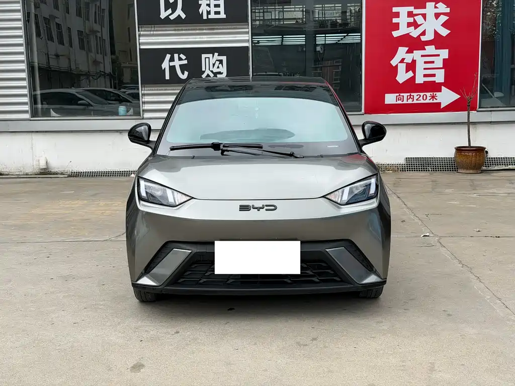 BYD Seagull 2024
