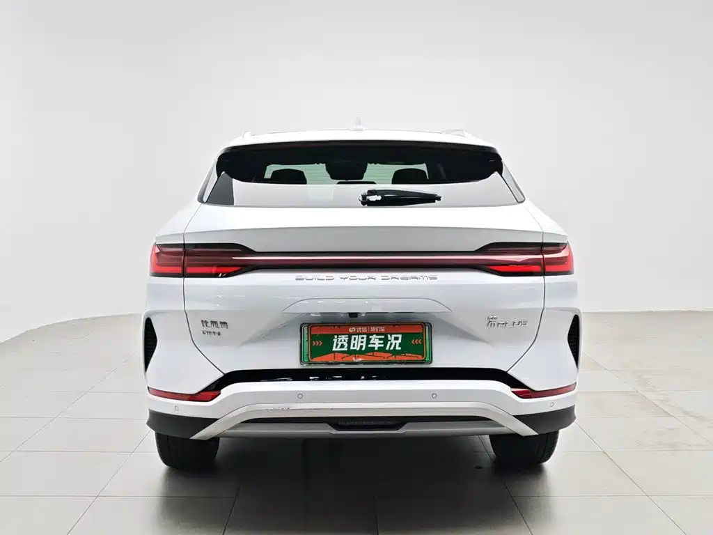 BYD Song PLUS New Energy 2024 — фото 4