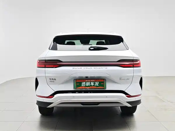 BYD Song PLUS New Energy 2024