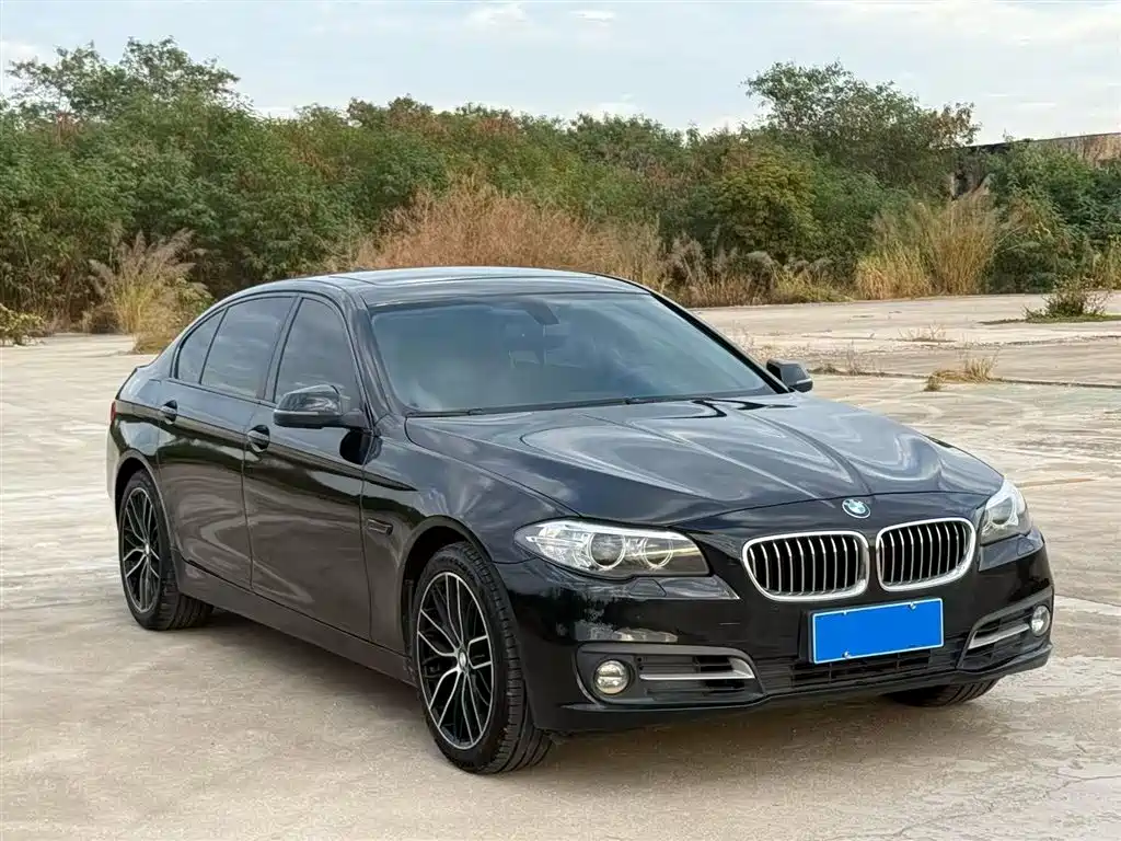 BMW 5 Series 2015