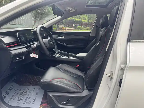 Geely Binrui 2023