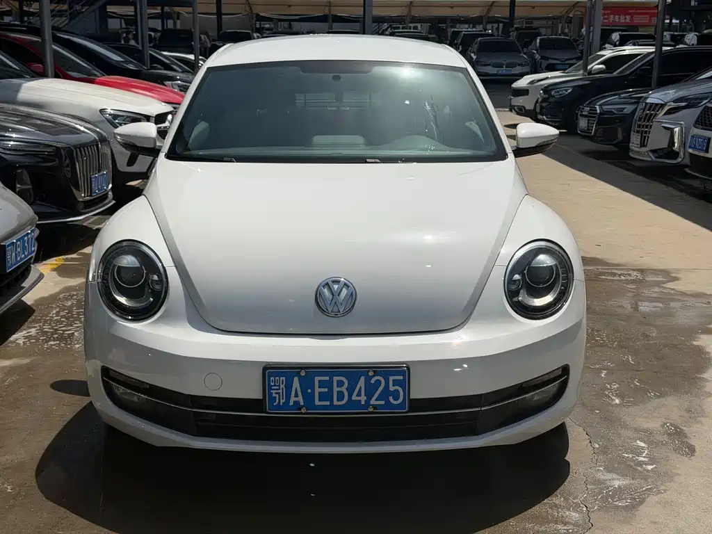 Volkswagen Beetle 2014