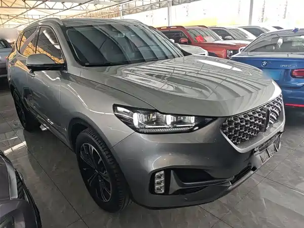 Wey VV6 2021