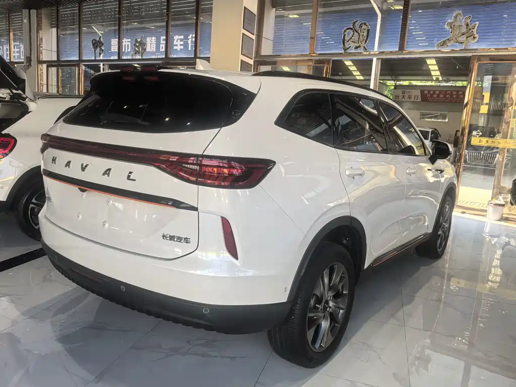 Haval H6 2023 — фото 10
