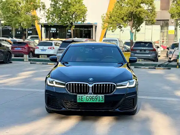 BMW 5 Series New Energy 2022