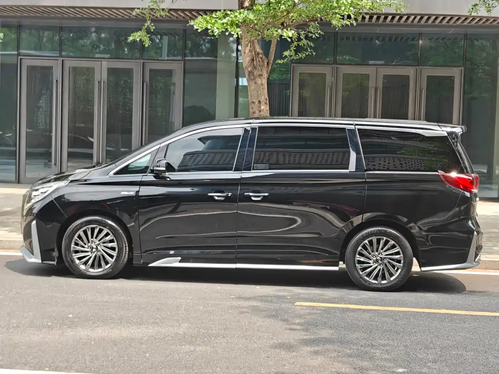 GAC Motor Trumpchi M8 2021 — фото 23