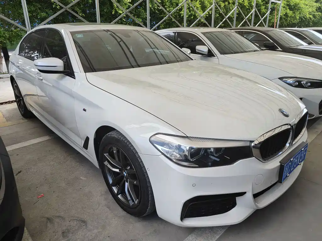 BMW 5 Series 2019