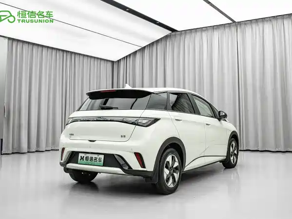 BYD Dolphin 2024