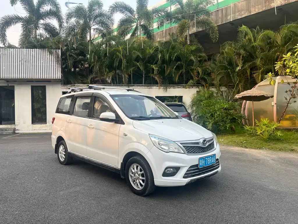 Huasu Huansu H2 2016