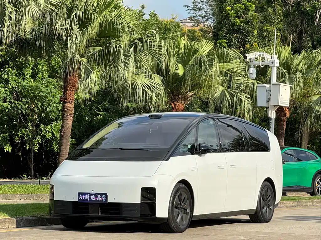 Li Auto Li MEGA 2025