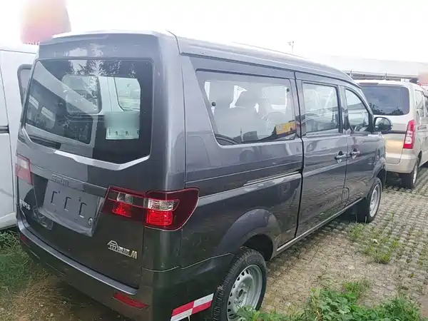 Jinbei Golden Sea Lion M Classic 2024