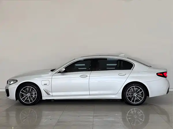 BMW 5 Series New Energy 2022