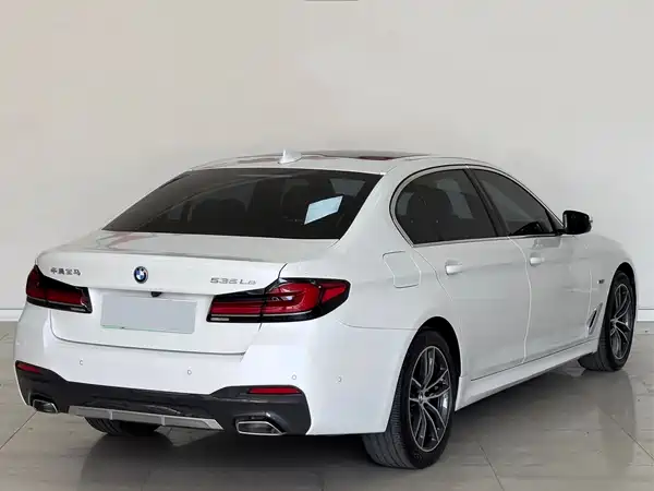 BMW 5 Series New Energy 2022