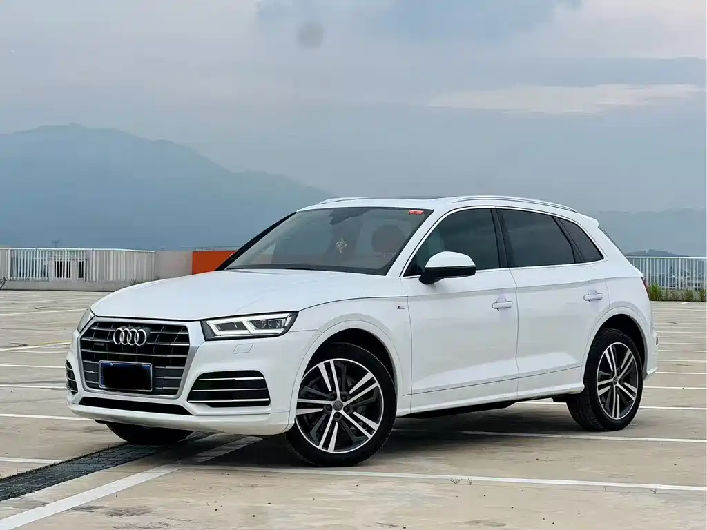 Audi Q5L 2020 — фото 1