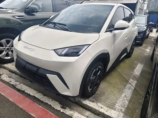 BYD Seagull 2024
