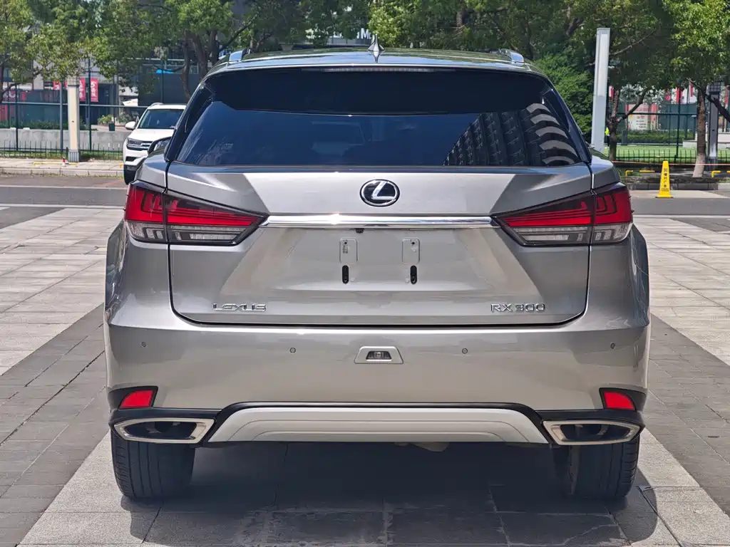 Lexus RX 2023 — фото 11