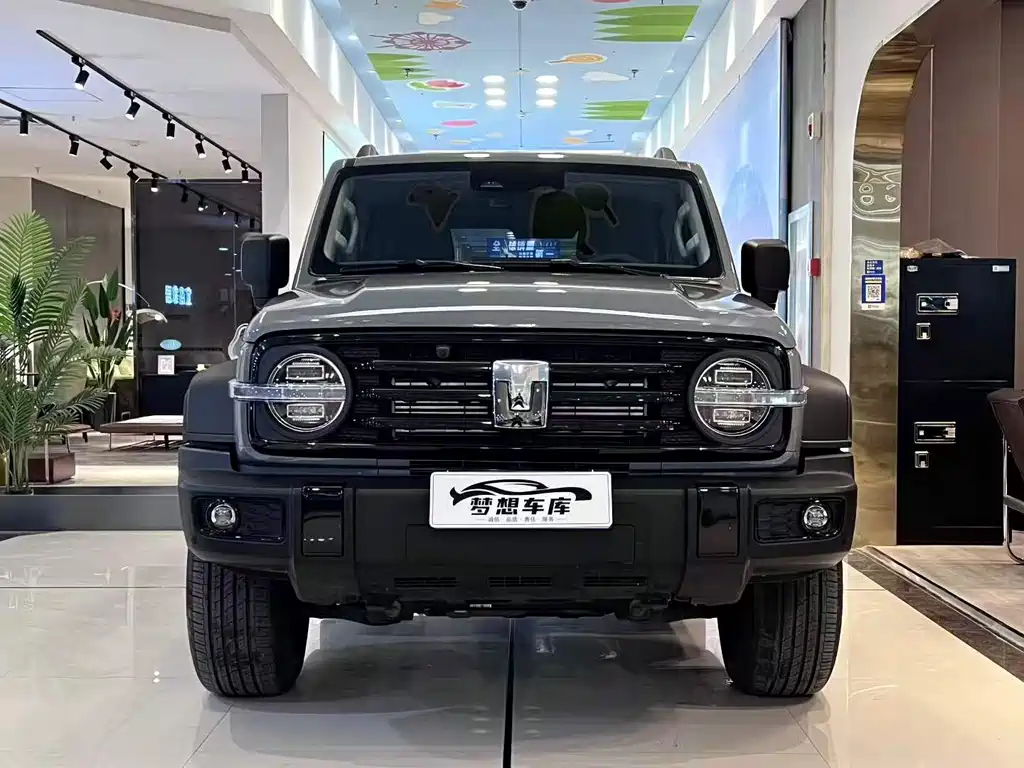 Tank 300 2025