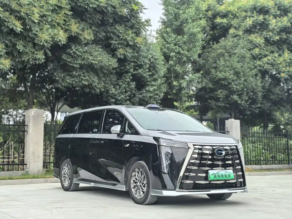 GAC Motor Xiangwang M8 2025 — фото 3